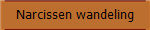 Narcissen wandeling