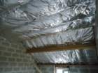 dsc02554_small.jpg