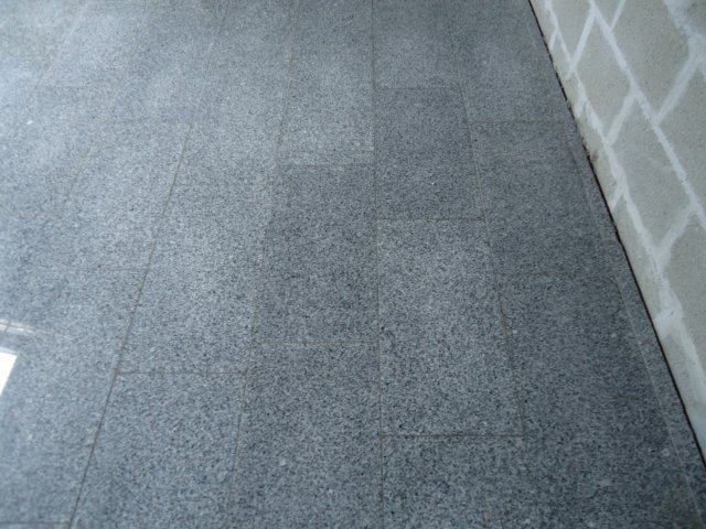 dsc03014.jpg