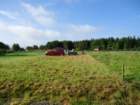 dsc03315_small.jpg