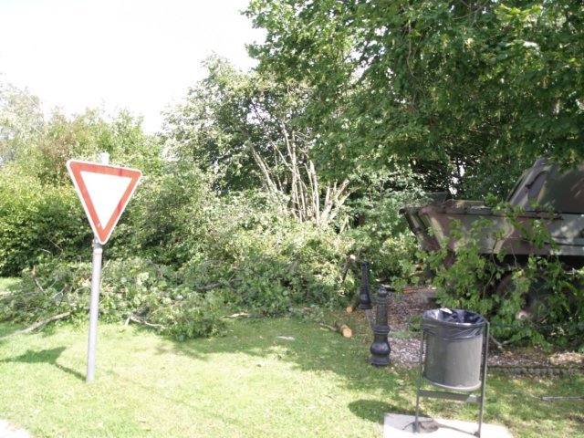 photo43.jpg