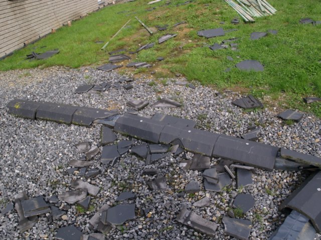 photo7.jpg